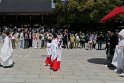 IMG_030