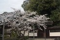 IMG_367