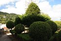 IMG_076