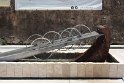 IMG_127