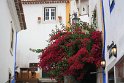 IMG_142