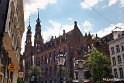 IMG_300